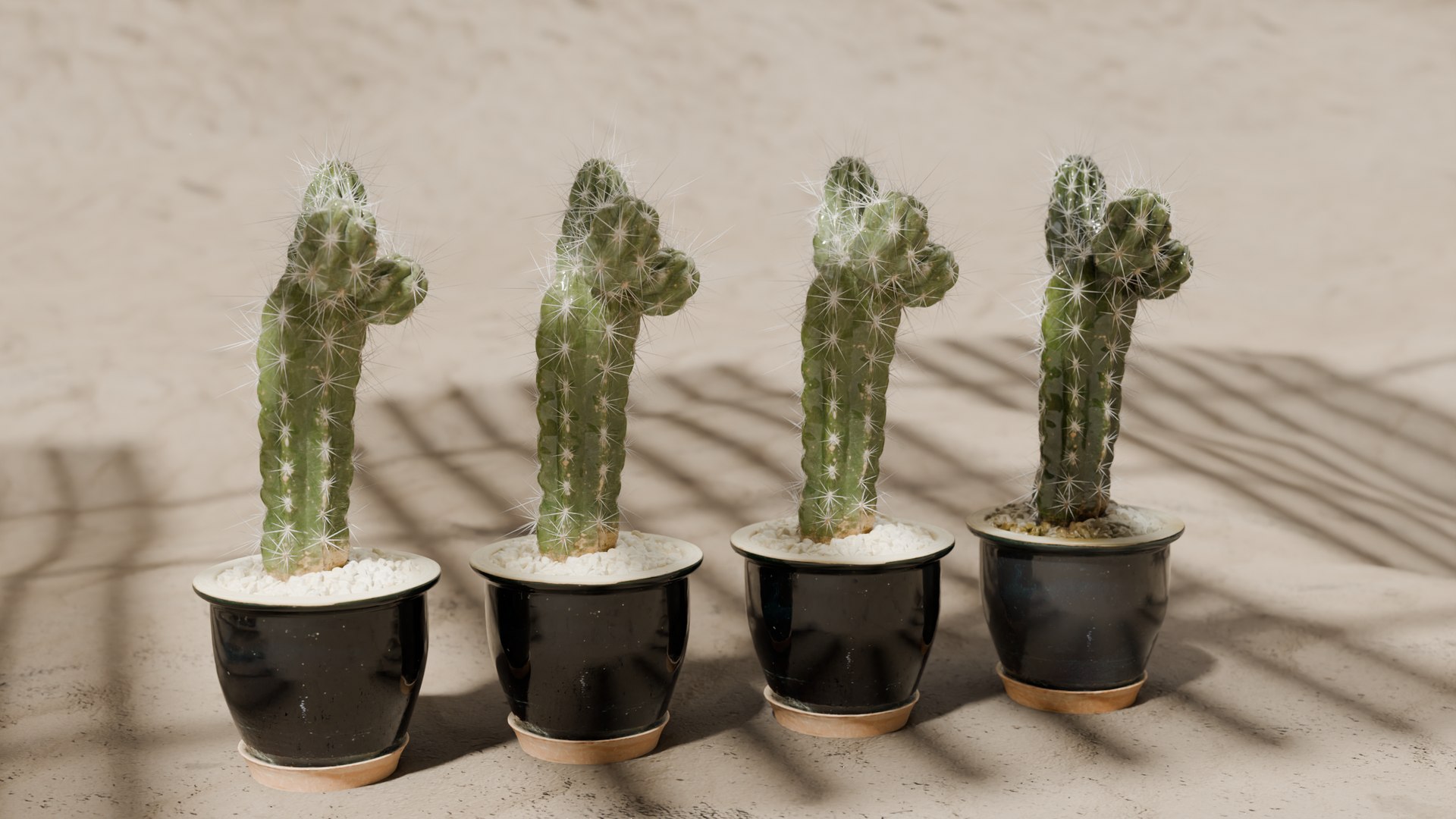 3D Cactus Model Pack - 3D Scan With LODs 3D Model - TurboSquid 2260018