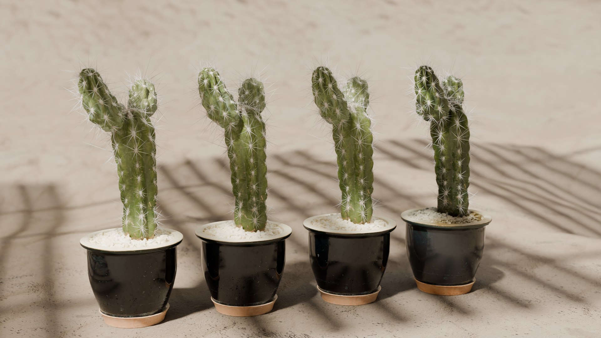 3D Cactus Model Pack - 3D Scan With LODs 3D Model - TurboSquid 2260018