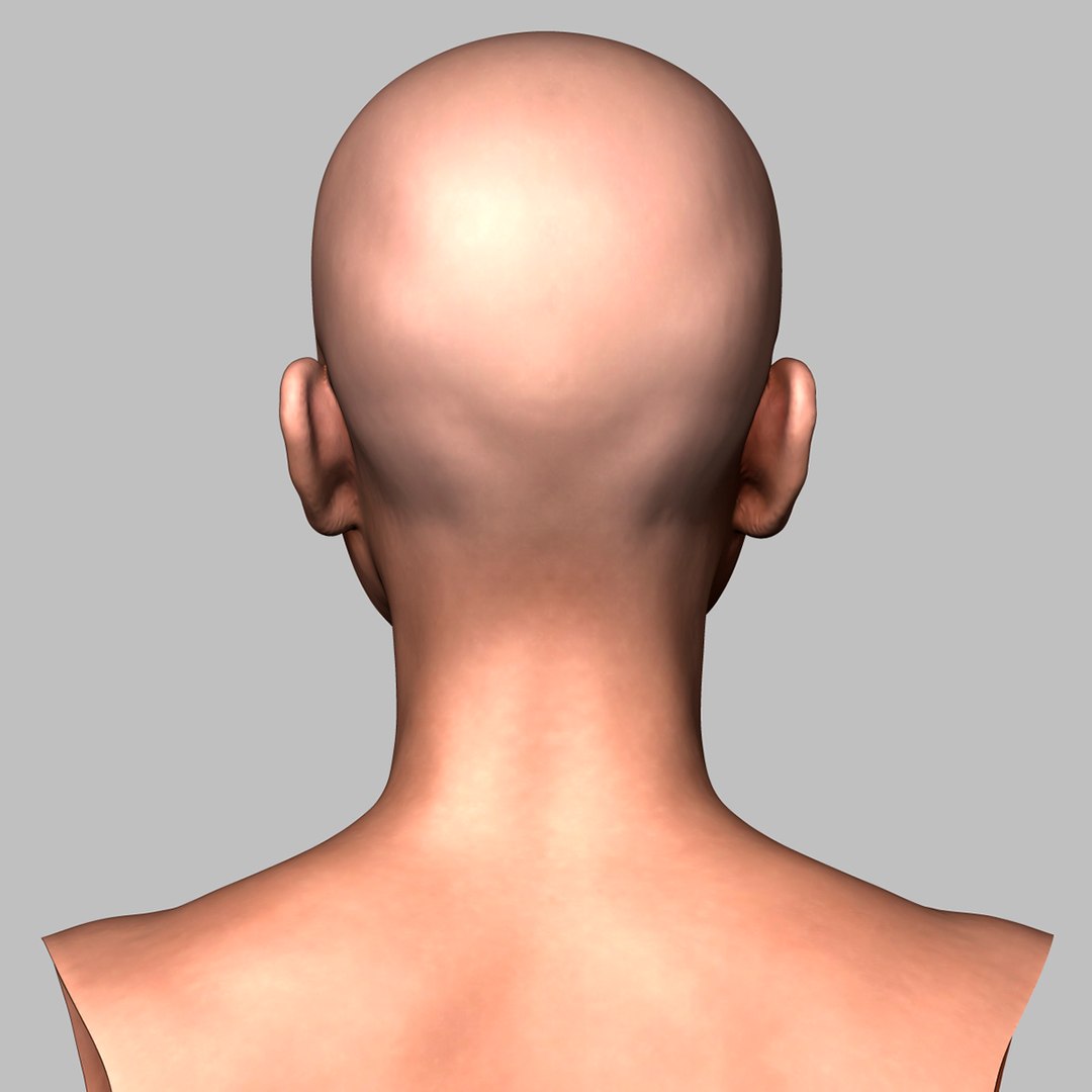 3D model woman head https://p.turbosquid.com/ts-thumb/vU/LKz4kE/iQ1jKKx5/womanhead_005/jpg/1495828031/1920x1080/fit_q87/0f2055d26f4422c7f7f57cf89321b9acf104b6d3/womanhead_005.jpg