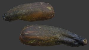 Papayas Scan 3D model