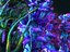 Animated Plants Ocean - Alien  Pack 10