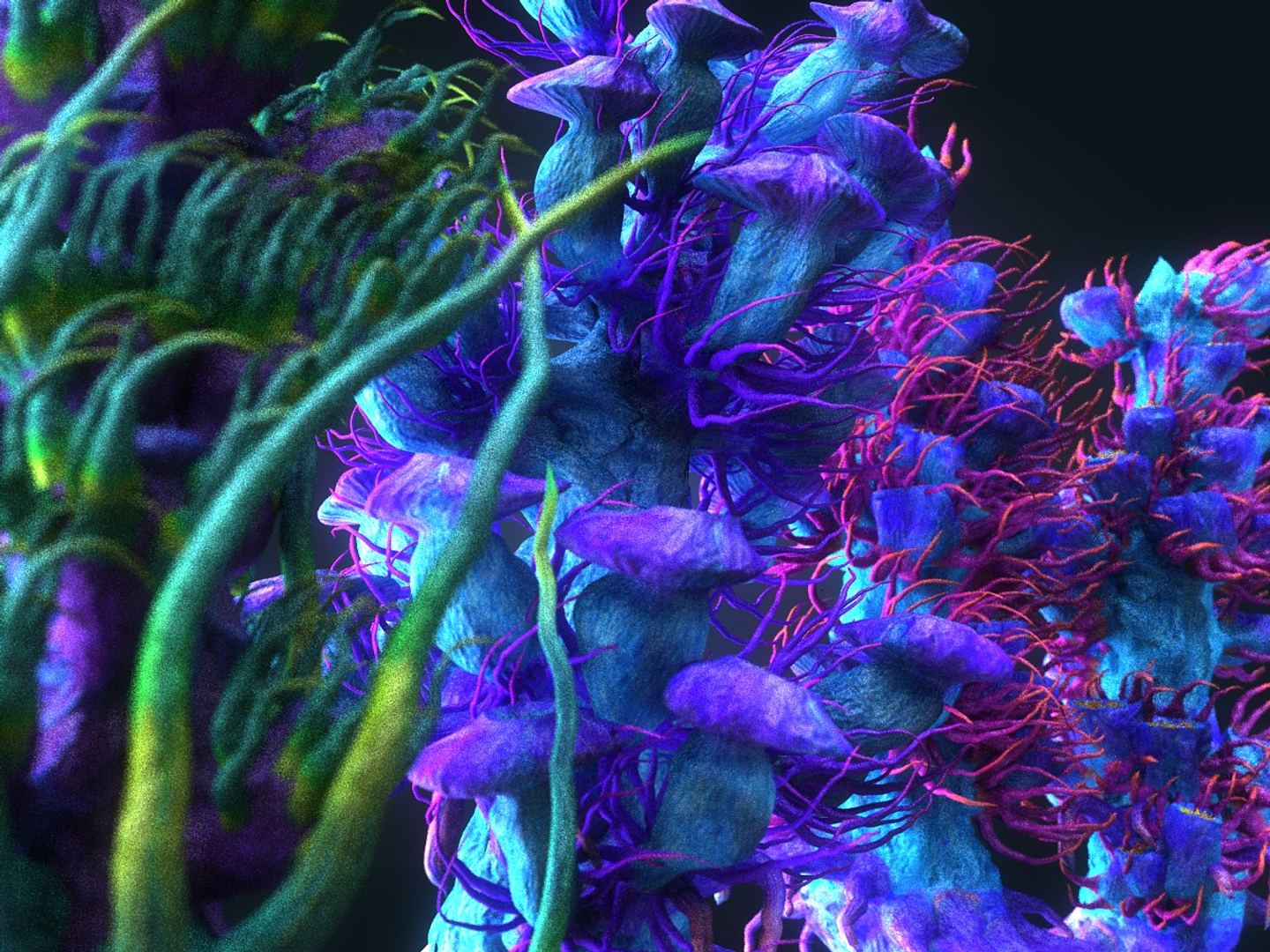 plants ocean - alien 3D model https://p.turbosquid.com/ts-thumb/vU/bbagBQ/7Wj4Myjm/0000/jpg/1547238300/1920x1080/turn_fit_q99/a12b2873728d2d9b1d3e070d4655ee614d1a294a/0000-1.jpg