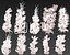 Animated Plants Ocean - Alien  Pack 10