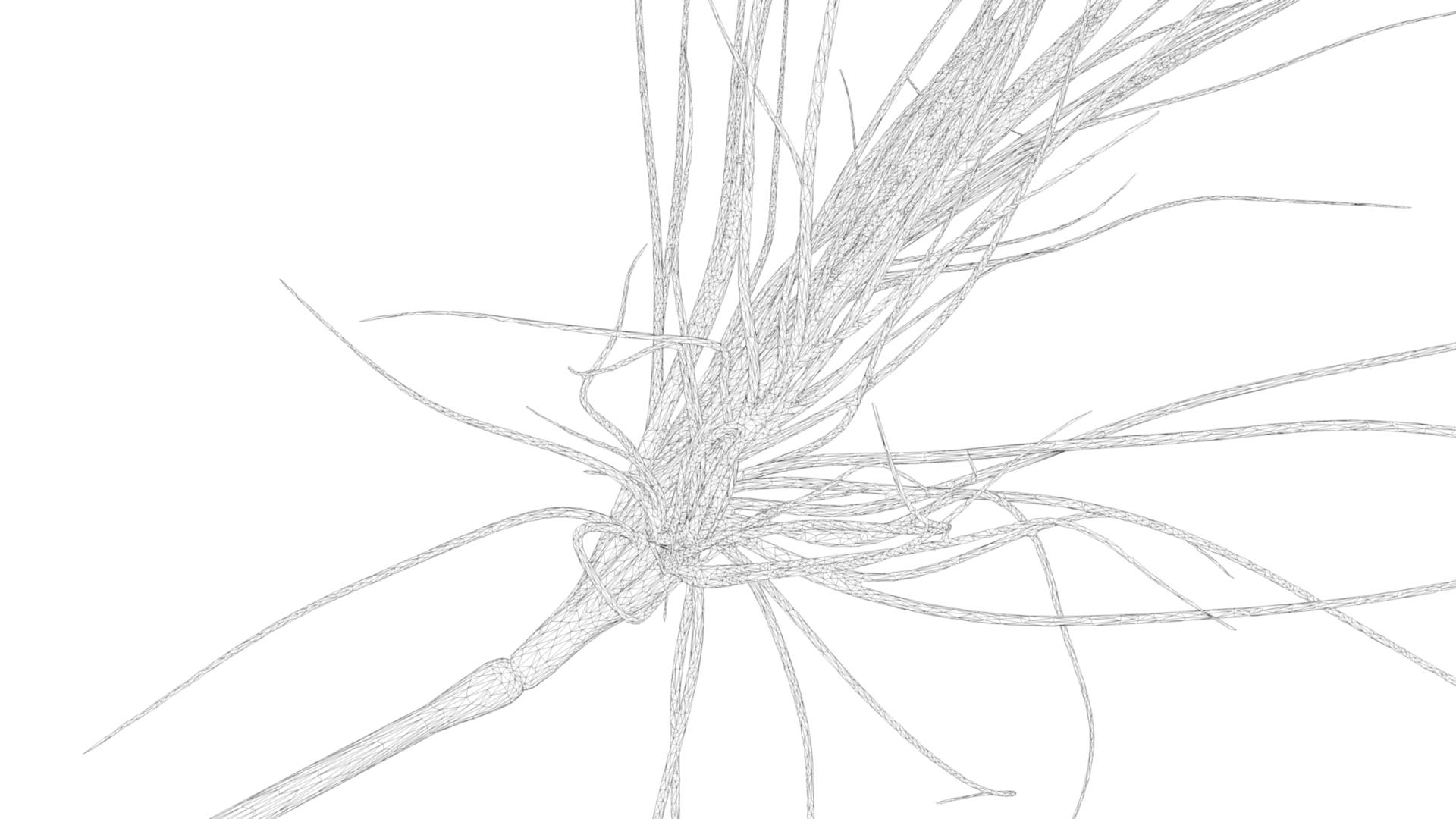 3D bipolar neuron https://p.turbosquid.com/ts-thumb/vU/p07Slf/P4dXbvRh/neuronturn06/jpg/1560710252/1920x1080/turn_fit_q99/e990440fba10ff04809bbd520abc3eb07ae7d112/neuronturn06-1.jpg