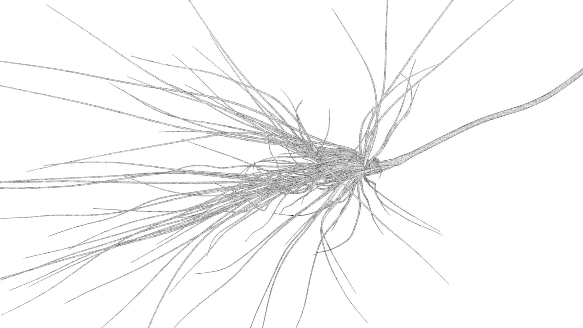 3D bipolar neuron https://p.turbosquid.com/ts-thumb/vU/p07Slf/TNxnNPZ3/neuronturn04/jpg/1560709955/1920x1080/turn_fit_q99/96ce5fca72a236bea5b97cfce871c85c768a6940/neuronturn04-1.jpg