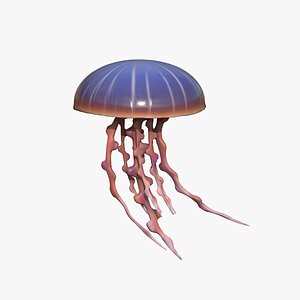 Jellyfish 3D model