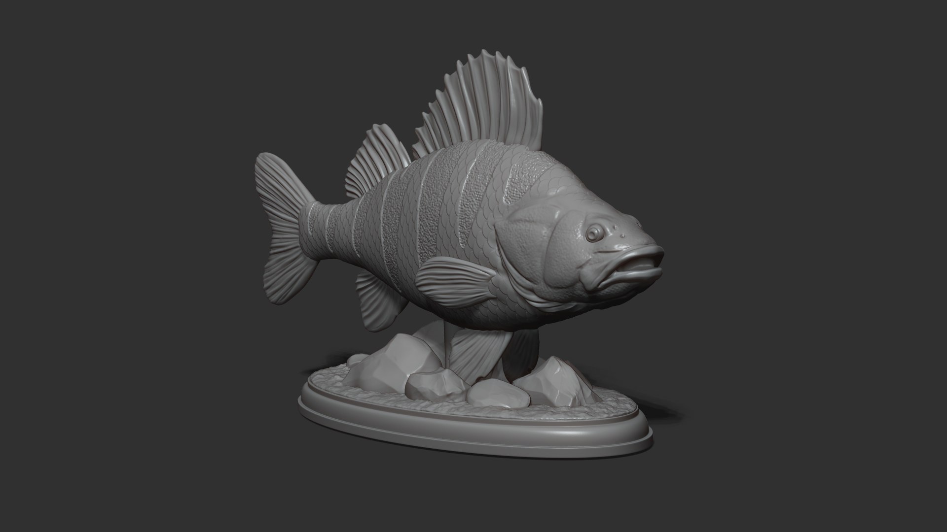 Perch Fish On The Base Model - TurboSquid 2229288