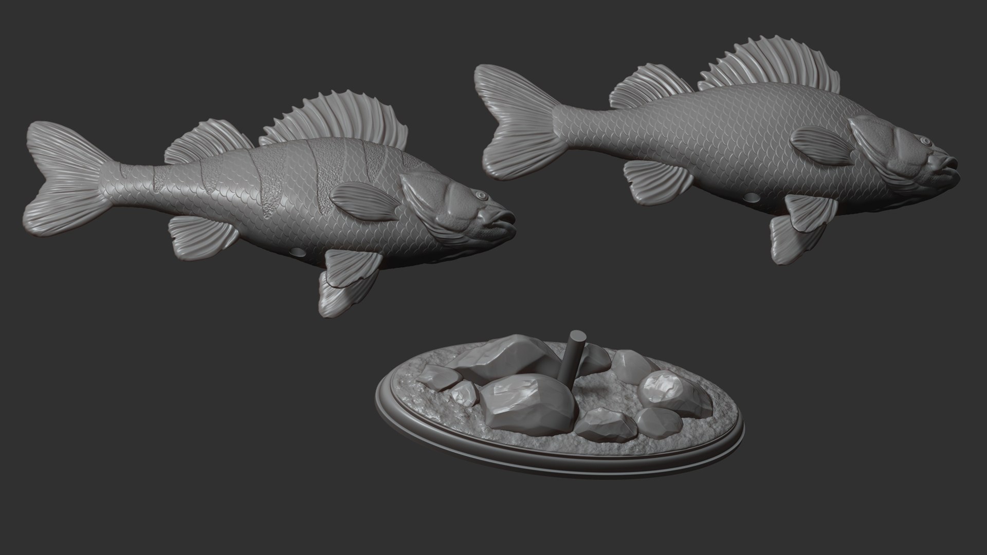 Perch Fish On The Base Model - TurboSquid 2229288