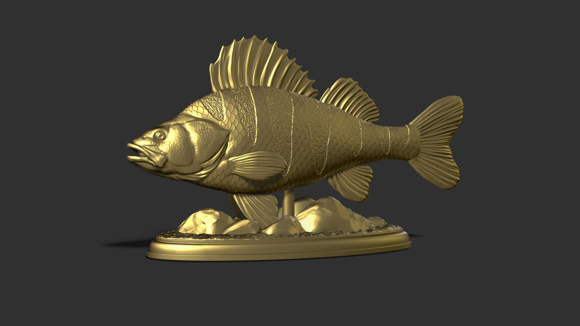 Perch Fish On The Base Model - TurboSquid 2229288