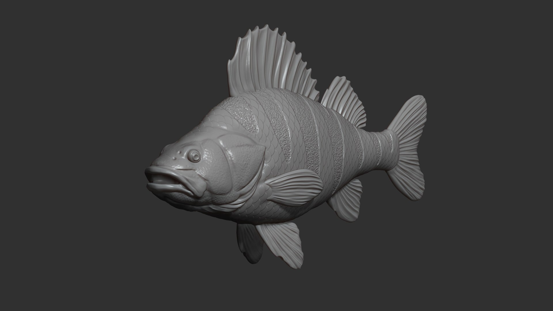 Perch Fish On The Base Model - TurboSquid 2229288