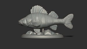 Perch fish on the base