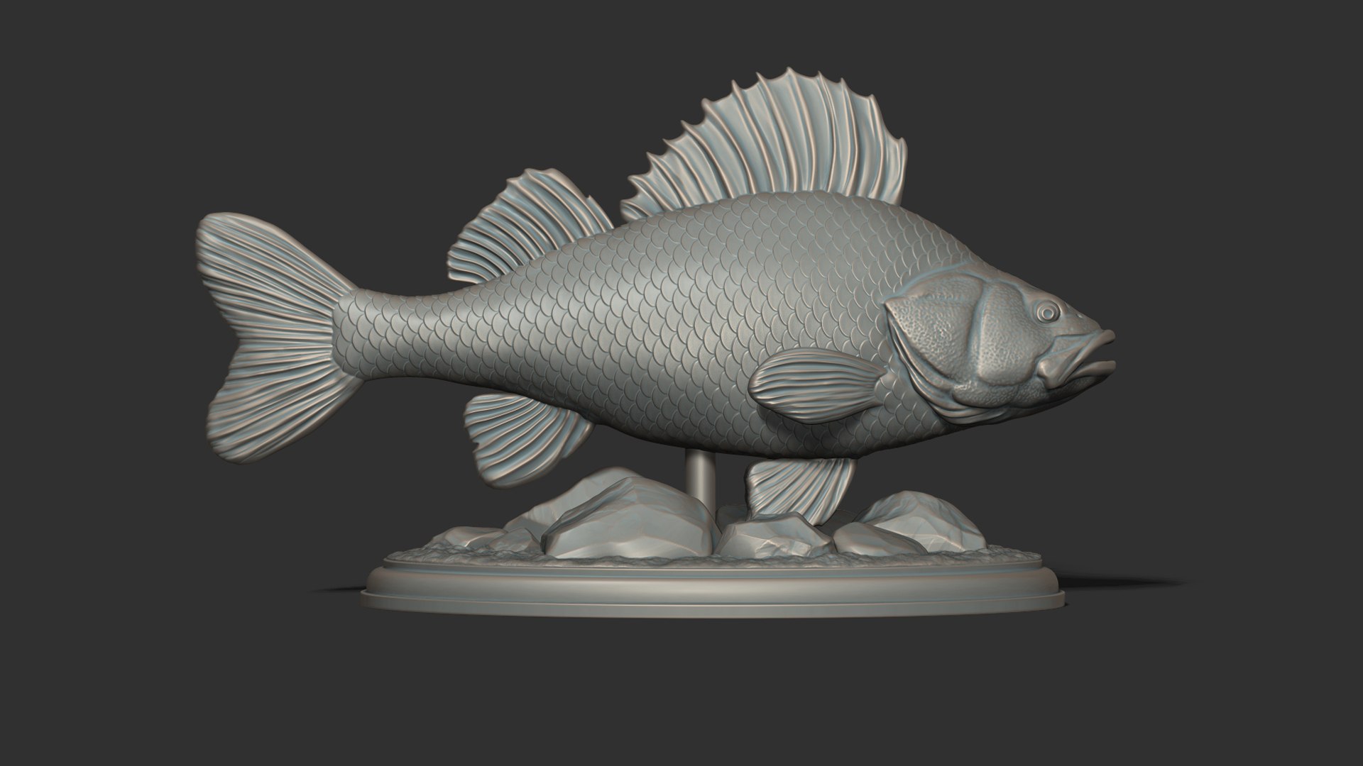 Perch Fish On The Base Model - TurboSquid 2229288