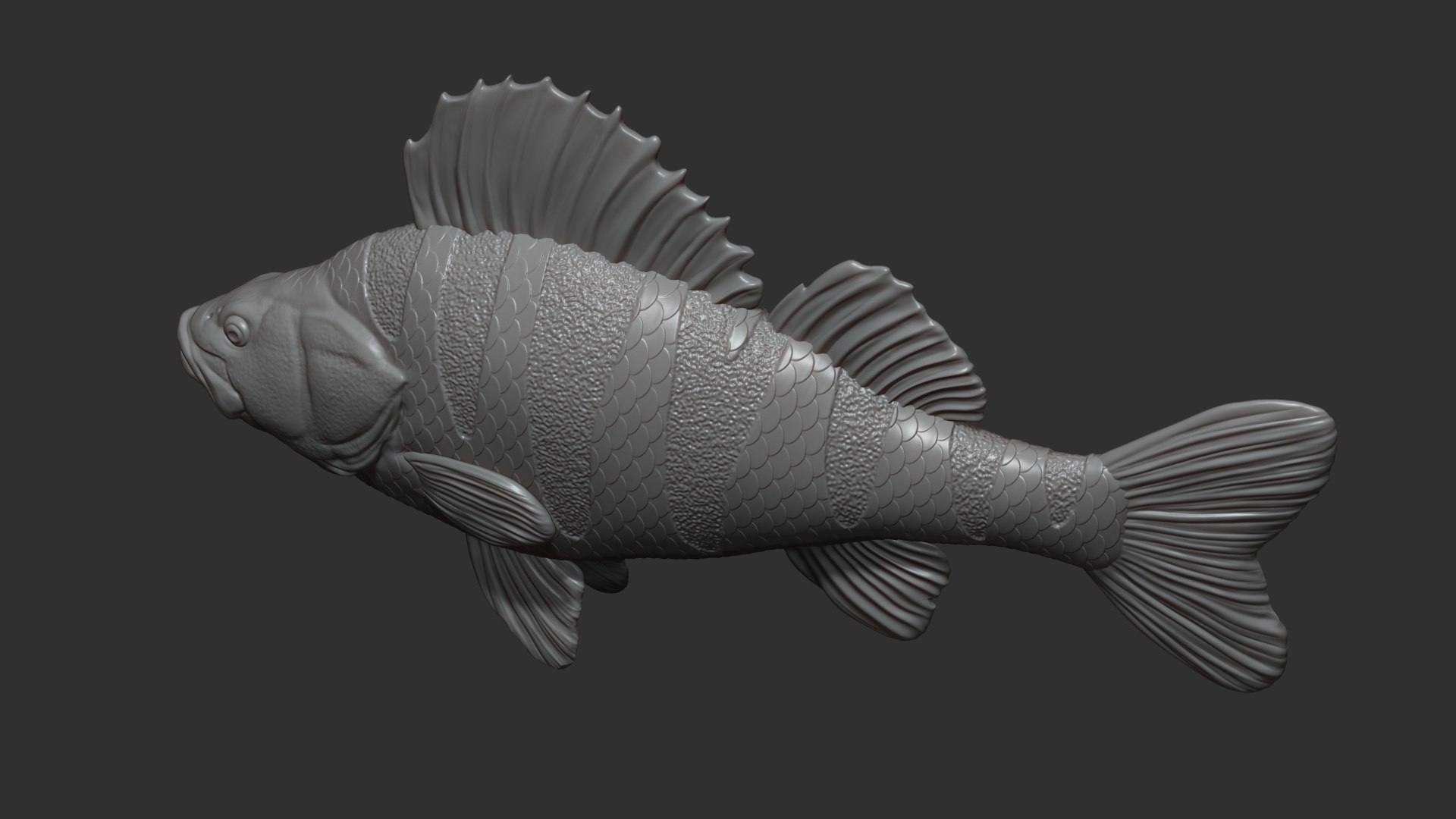 Perch Fish On The Base Model - TurboSquid 2229288