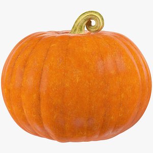 Pumpkin V3
