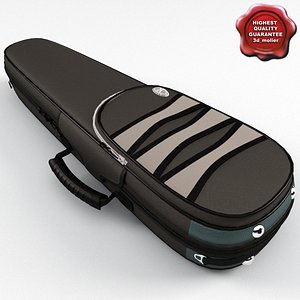 violin case obj