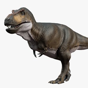 3D Tyrannosaurus rex