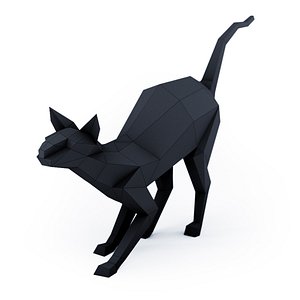 Cat sphynx