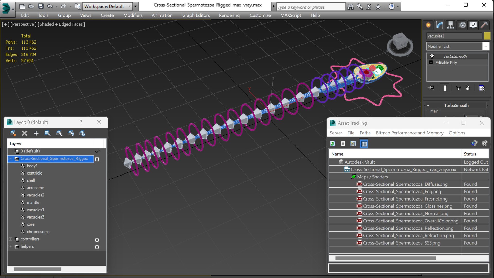 Cross-Sectional Spermotozoa Rigged 3D https://p.turbosquid.com/ts-thumb/vV/P6L7nd/XK/crosssectionalspermotozoarigged3dsmodel027/jpg/1684197639/1920x1080/fit_q87/e67e87e499b31e5412a23a7873bad02b90b2b21a/crosssectionalspermotozoarigged3dsmodel027.jpg