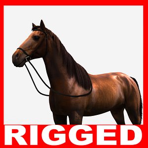 Brown Horse