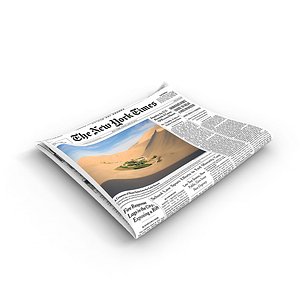 Newspaper