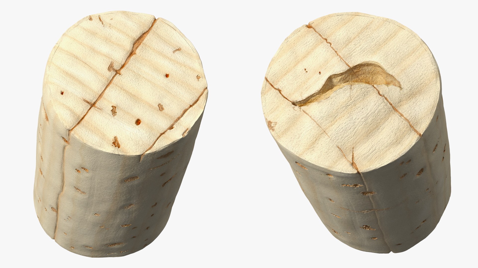 3D Realistic Wine Bottle Cork - TurboSquid 2215350