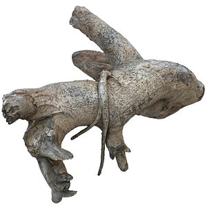 Branch 1