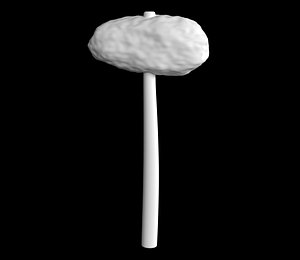 Stone Hammer