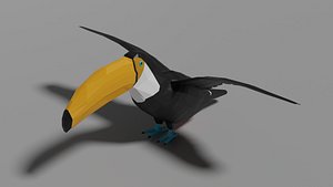 Cartoon Toucan