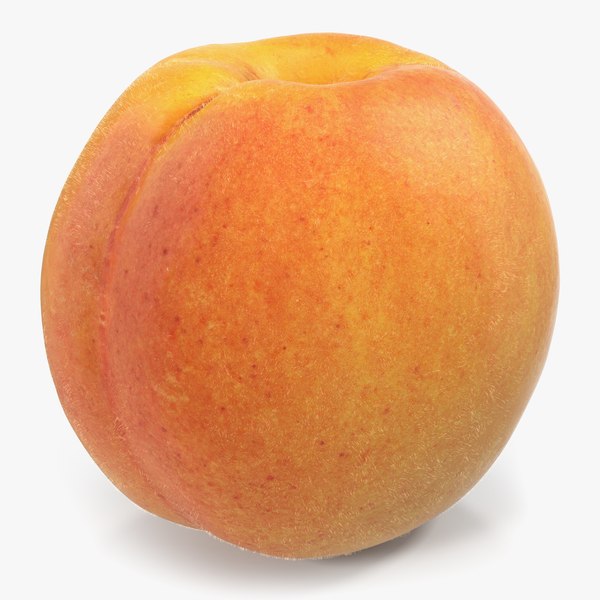 3D apricot object realistic model