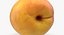 Apricot