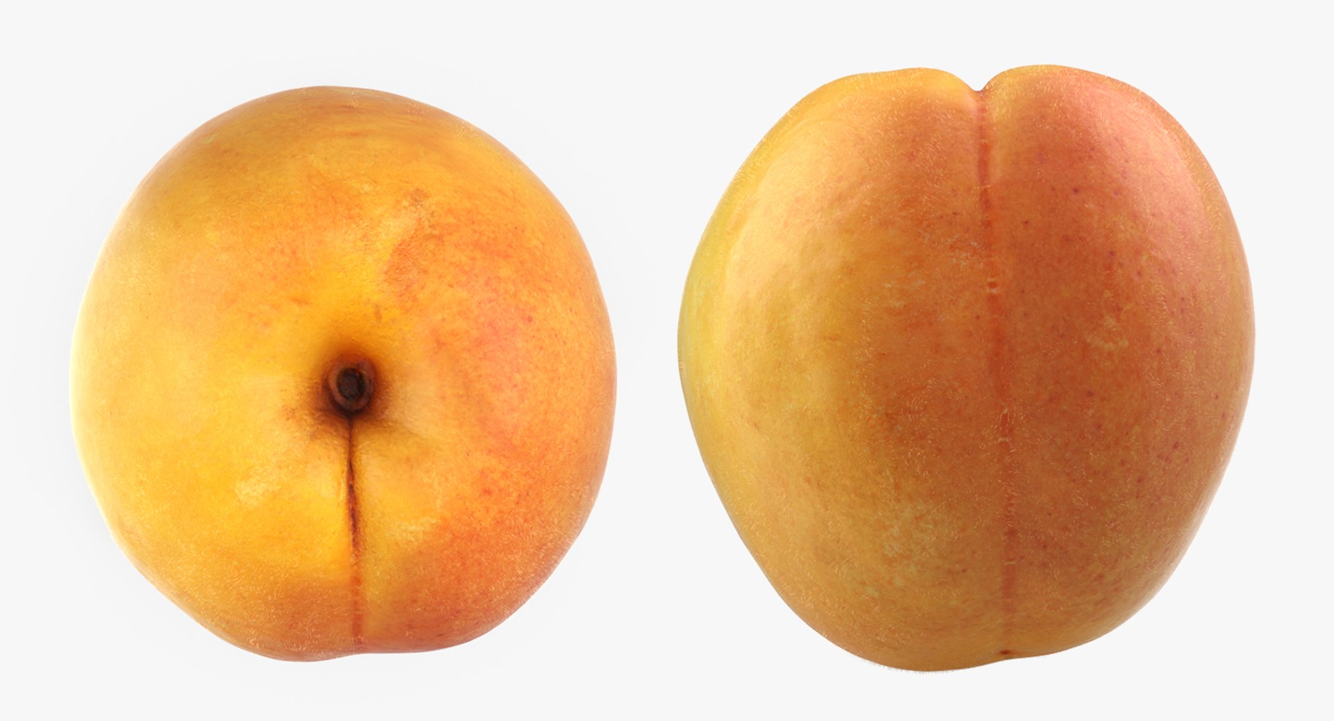 3D apricot object realistic model https://p.turbosquid.com/ts-thumb/vV/mYASCe/q13JbnkI/apricotc4dmodel002/jpg/1502785060/1920x1080/fit_q87/4699f32c1e898503114971b562fd17692fa5d985/apricotc4dmodel002.jpg