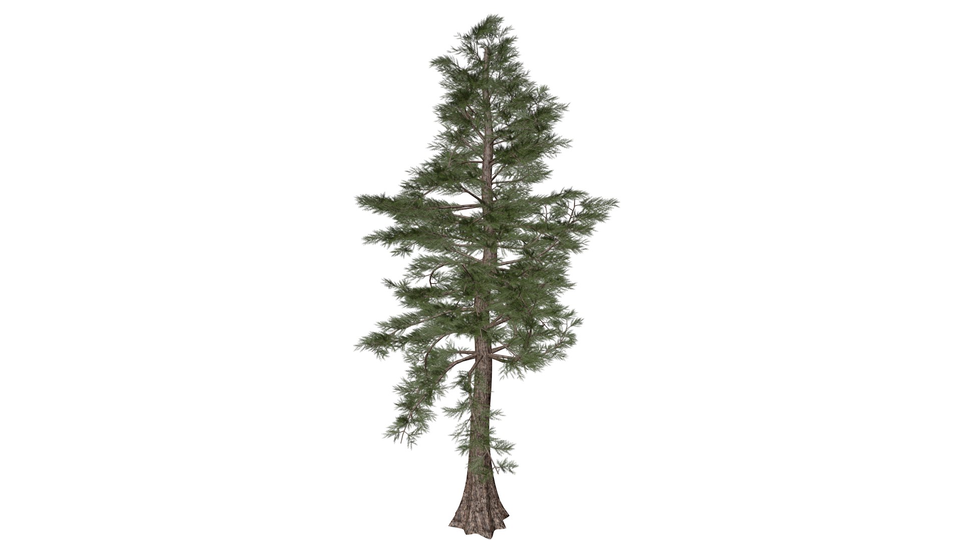 Western Red Cedar Tree Collection 3D https://p.turbosquid.com/ts-thumb/vV/o9n0Rg/80/westernredcedar_high30/png/1779223128/1920x1080/fit_q87/2930f866aca6fc1c95207caff6993836690fb8a5/westernredcedar_high30.jpg