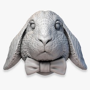 3D Rabbit Head Sculpture Bow Tie STL model