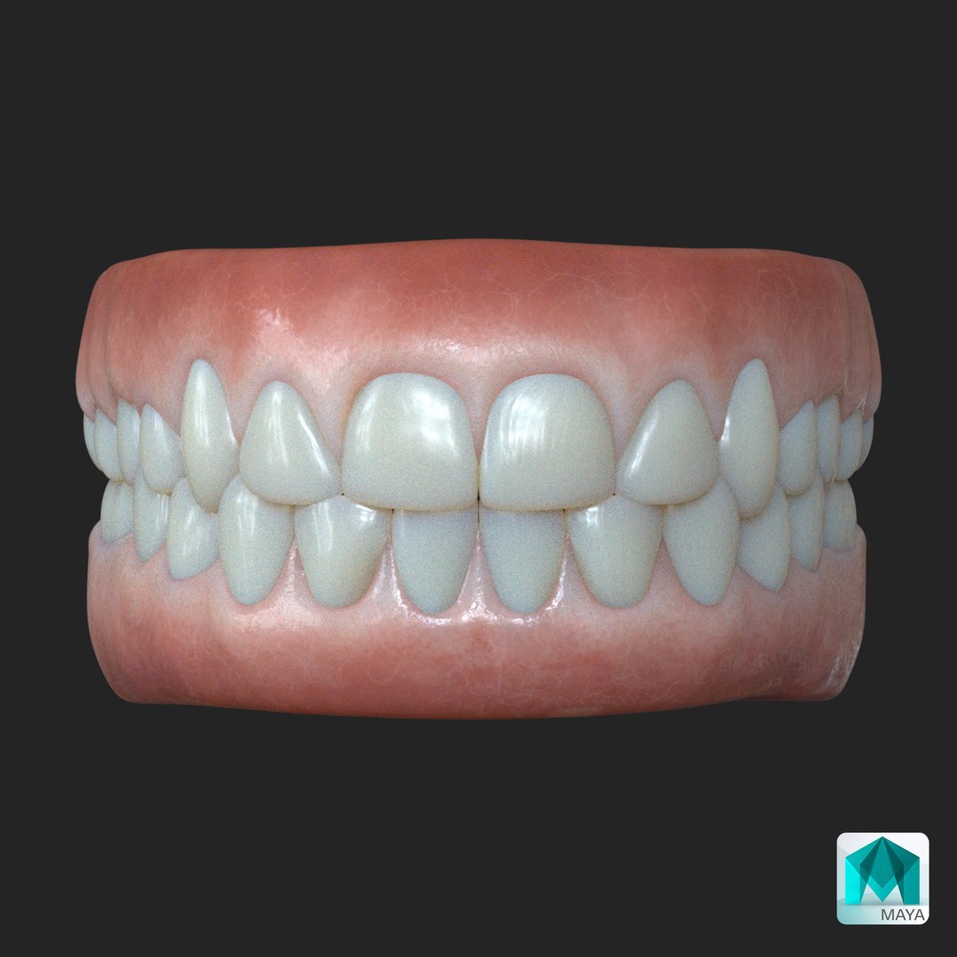 3D teeth https://p.turbosquid.com/ts-thumb/vW/0ibtSv/3N/z05_maya/jpg/1704598522/1920x1080/fit_q87/5671926b11e252107e4202a2ffa58ae6b84a9bf4/z05_maya.jpg