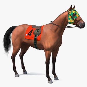 Bay Racehorse 3D