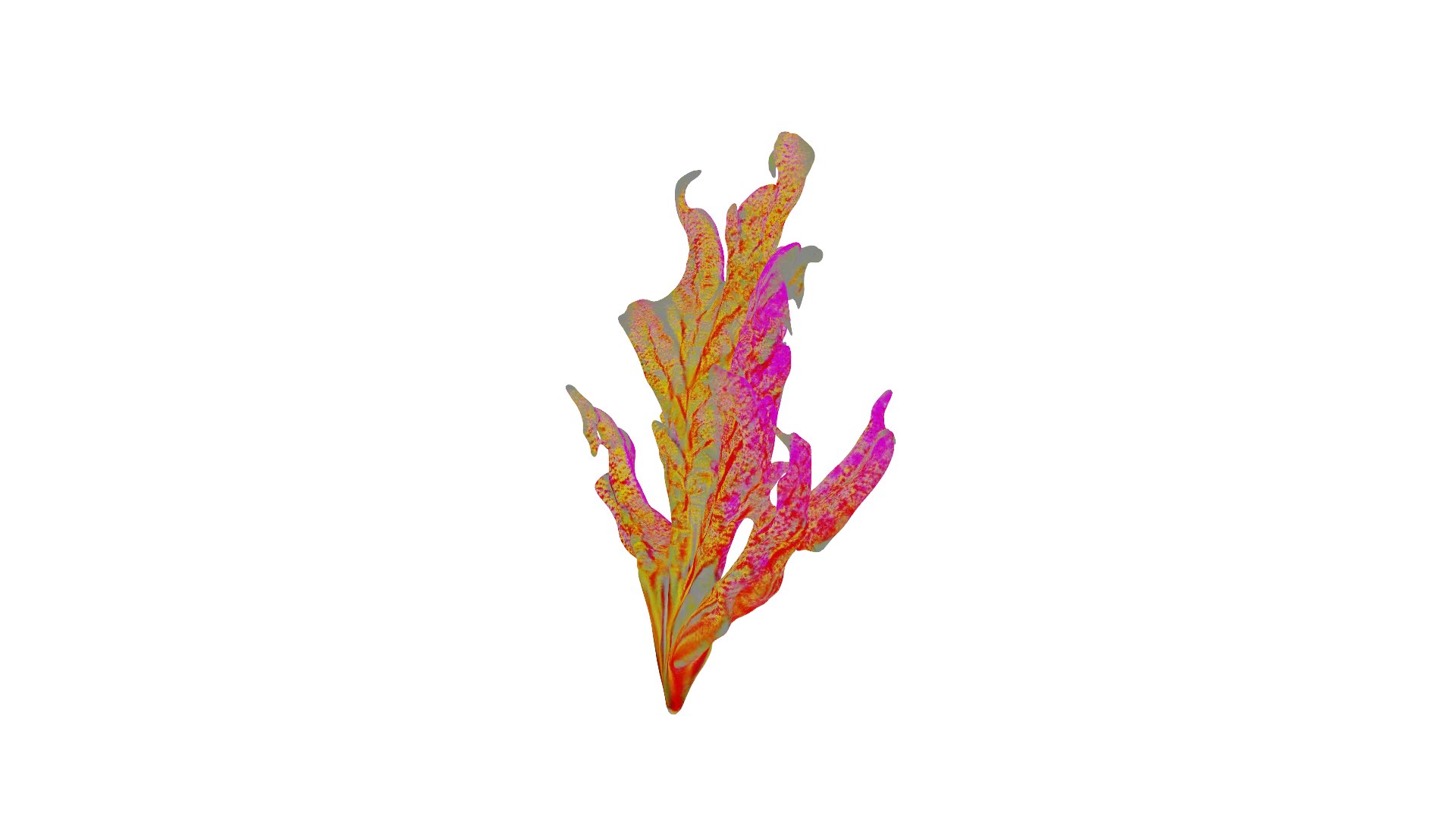 Vibrant Coral Reef 3D model https://p.turbosquid.com/ts-thumb/vW/5LEy3m/24/preview_05/png/1714222640/1920x1080/fit_q87/98e4271702037277222571e3b154f481fe34cea8/preview_05.jpg