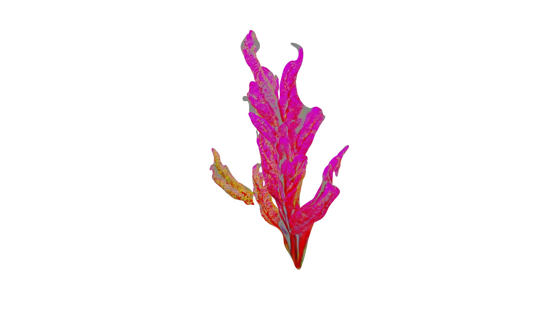 Vibrant Coral Reef 3D model https://p.turbosquid.com/ts-thumb/vW/5LEy3m/F3/preview_02/png/1714222634/1920x1080/fit_q87/3c3e8cfcdca14a2bb67d660237928e196adb7f3b/preview_02.jpg