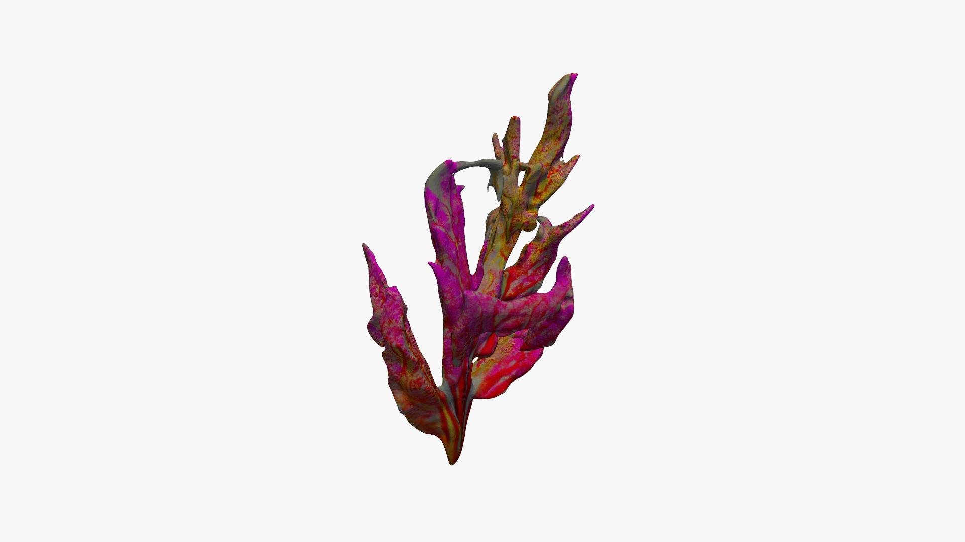 Vibrant Coral Reef 3D model https://p.turbosquid.com/ts-thumb/vW/5LEy3m/Ko/turnable1/jpg/1714222661/1920x1080/turn_fit_q99/d92d205050c8853f13682c3f8c7b96f662ca739c/turnable1-1.jpg