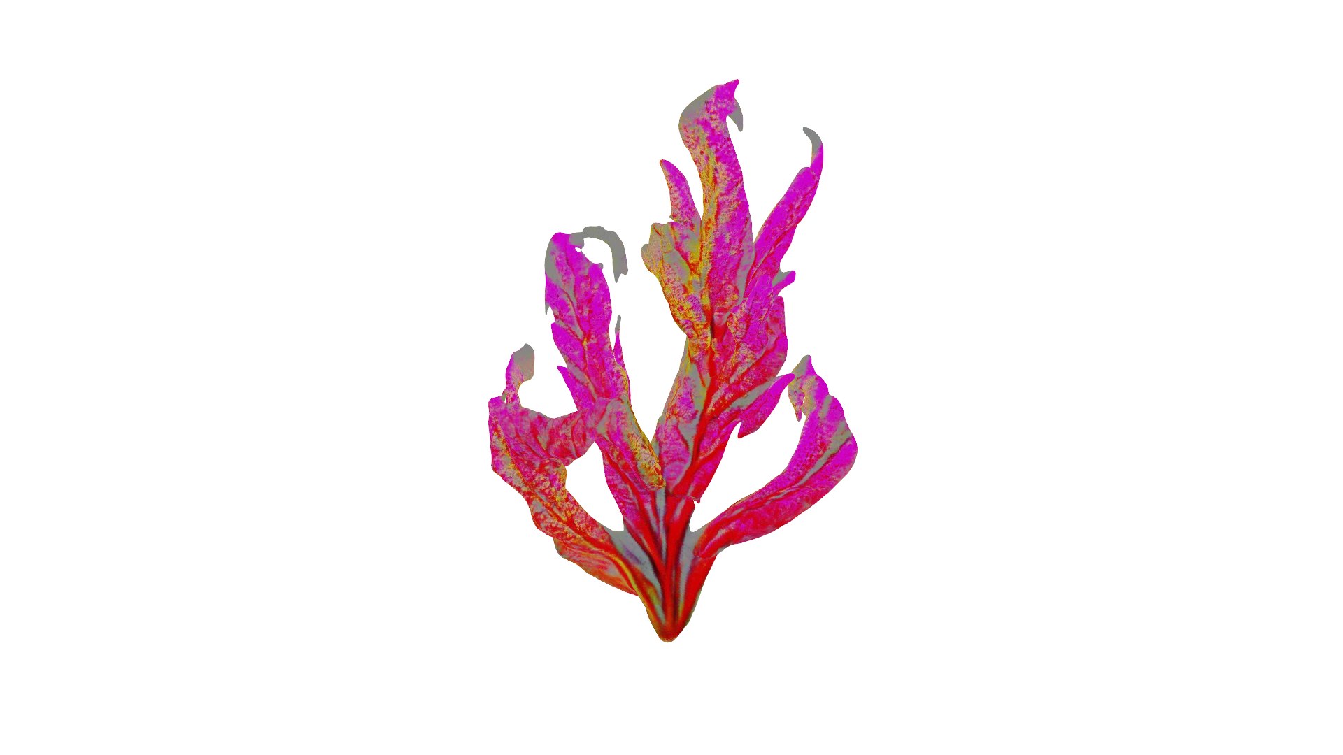 Vibrant Coral Reef 3D model https://p.turbosquid.com/ts-thumb/vW/5LEy3m/Na/preview_01/png/1714222632/1920x1080/fit_q87/972be44334eb9ad327c2ccf9b40878c693bf7e63/preview_01.jpg
