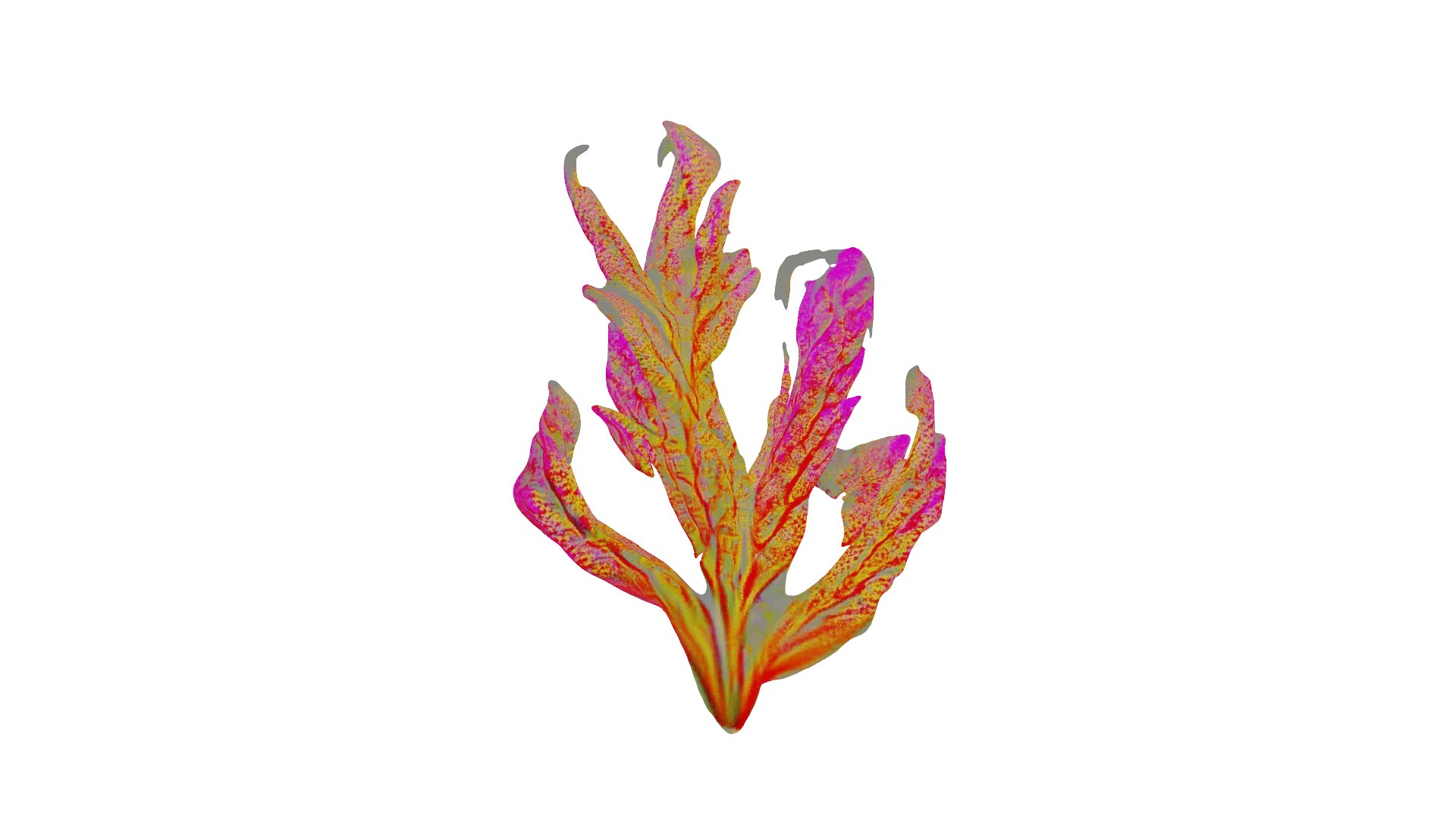 Vibrant Coral Reef 3D model https://p.turbosquid.com/ts-thumb/vW/5LEy3m/wq/preview_04/png/1714222638/1920x1080/fit_q87/caabade704cb6c017bb0f7507ed3e71eb632e0cc/preview_04.jpg