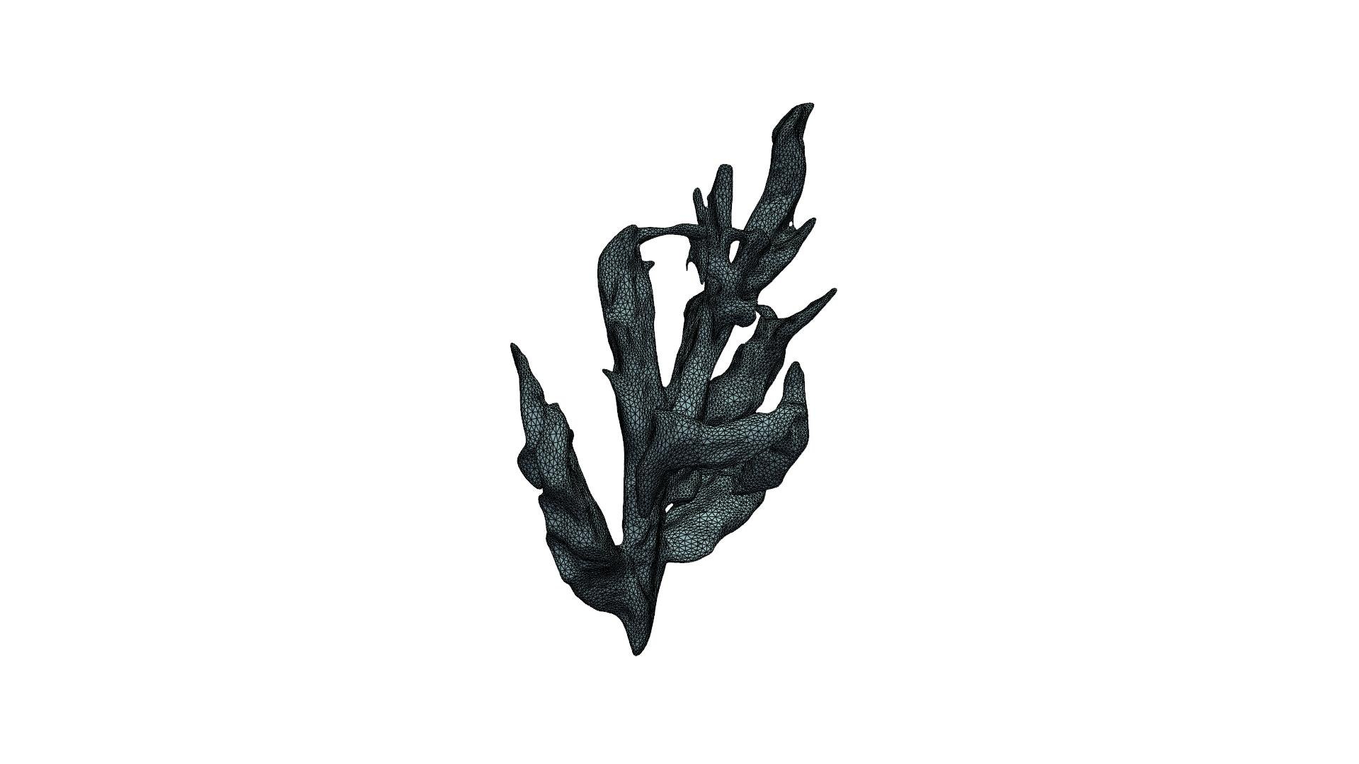 Vibrant Coral Reef 3D model https://p.turbosquid.com/ts-thumb/vW/5LEy3m/xA/wireframe_00/jpg/1714222649/1920x1080/fit_q87/c8fc0583e1972317758d54f59de3a05f63edb568/wireframe_00.jpg