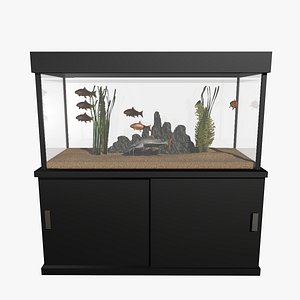 Aquarium Goldfish and Catfish Animation