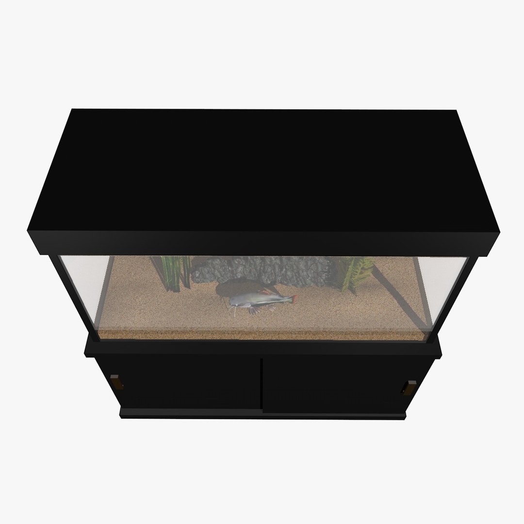 fresh aquarium goldfishes catfish 3d c4d https://p.turbosquid.com/ts-thumb/vW/6WYxza/IS3y9ONP/catfishandgoldfishesaquariumanimation9/jpg/1461796170/1920x1080/fit_q87/14338cb528e42da7a00e07a480e2ce999ca7a605/catfishandgoldfishesaquariumanimation9.jpg