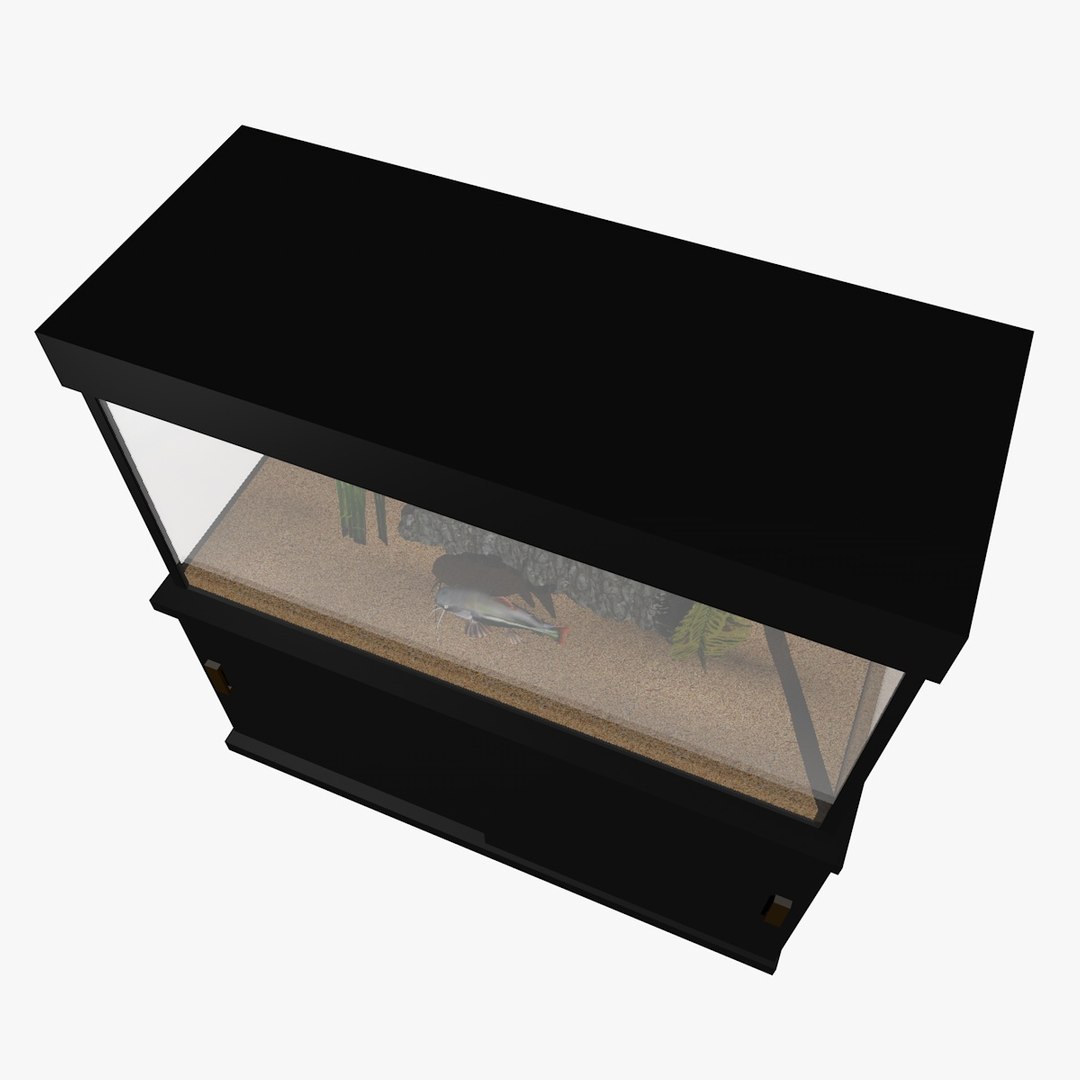 fresh aquarium goldfishes catfish 3d c4d https://p.turbosquid.com/ts-thumb/vW/6WYxza/JKYkqyRK/catfishandgoldfishesaquariumanimation2/jpg/1461796169/1920x1080/fit_q87/730ca6f7cb5d8ec3977ee1d5de5088b036a143d4/catfishandgoldfishesaquariumanimation2.jpg