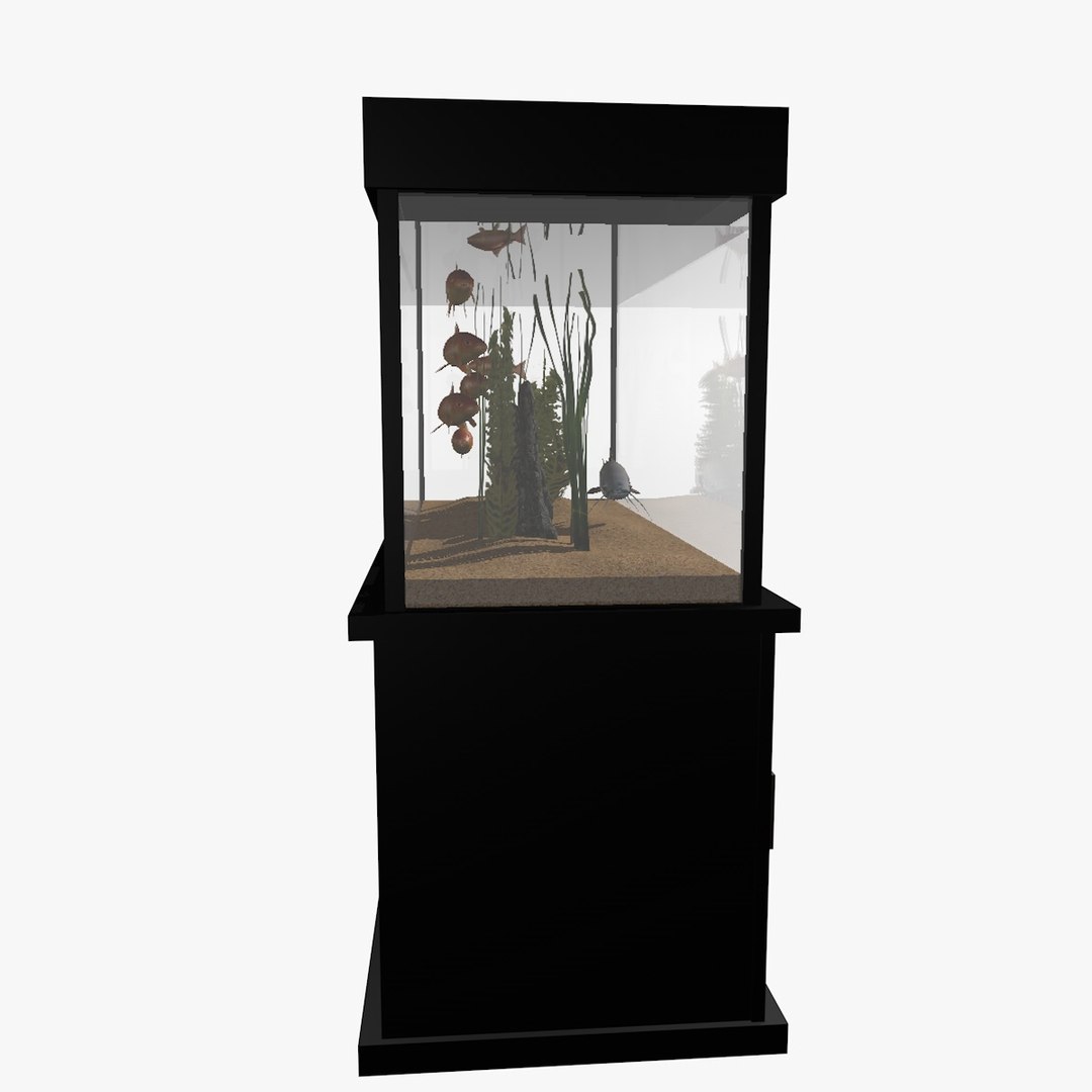fresh aquarium goldfishes catfish 3d c4d https://p.turbosquid.com/ts-thumb/vW/6WYxza/MVZDEVuG/catfishandgoldfishesaquariumanimation7/jpg/1461796170/1920x1080/fit_q87/26f8dee6cf5280e1610db7f30f45e7c8d8811f16/catfishandgoldfishesaquariumanimation7.jpg