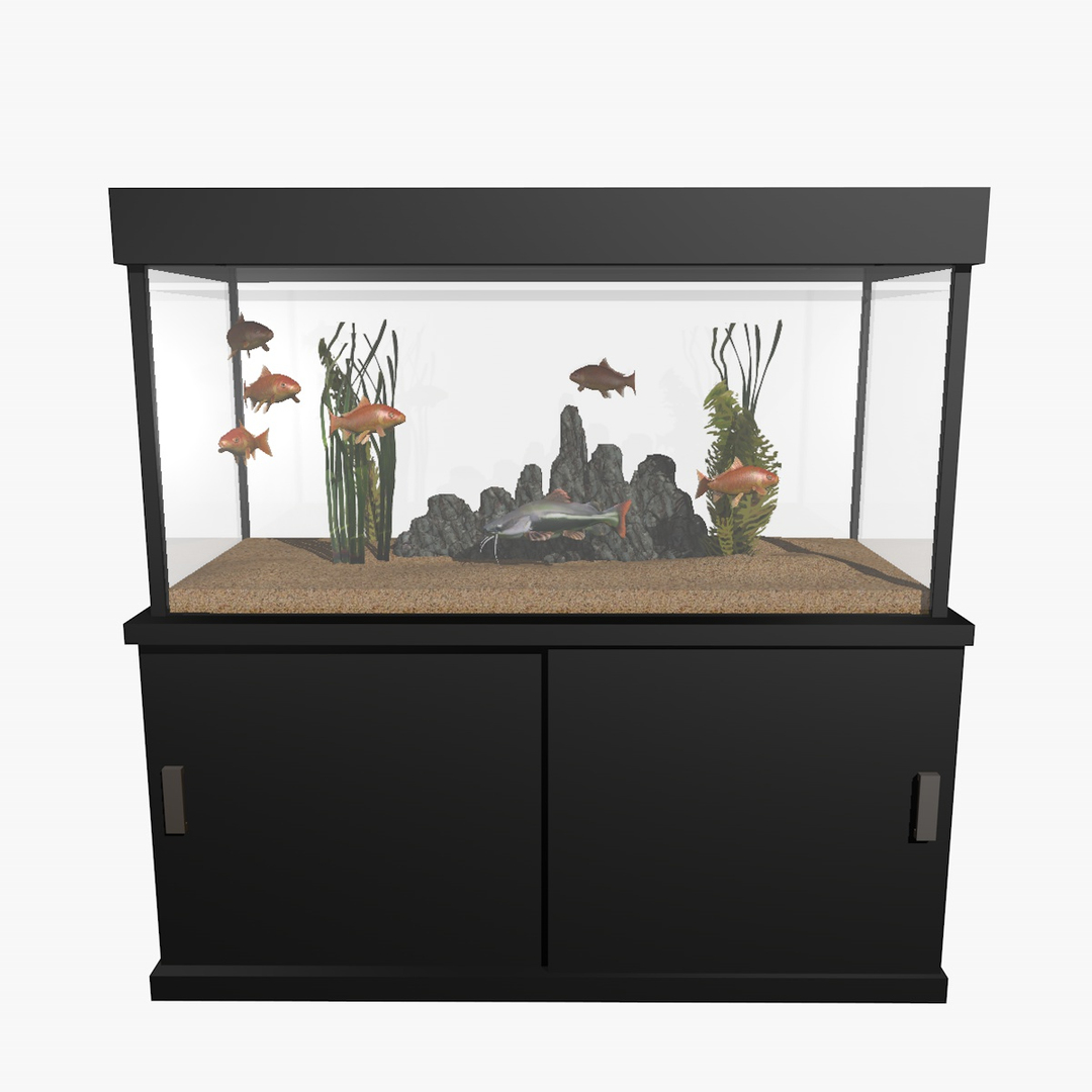 fresh aquarium goldfishes catfish 3d c4d https://p.turbosquid.com/ts-thumb/vW/6WYxza/UaXj46eF/catfishandgoldfishesaquariumanimation1/jpg/1461796540/1920x1080/turn_fit_q99/bb1403bb20e0a100a5dce8302d56fd59a1f7905d/catfishandgoldfishesaquariumanimation1-1.jpg