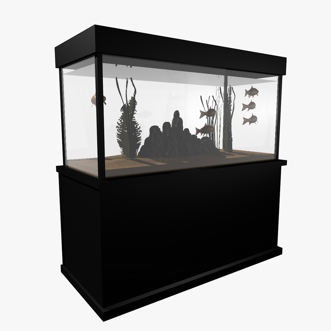 fresh aquarium goldfishes catfish 3d c4d https://p.turbosquid.com/ts-thumb/vW/6WYxza/Z46ARQfM/catfishandgoldfishesaquariumanimation4/jpg/1461796169/1920x1080/fit_q87/880628bdf3d9f2e1b1697711e3ffd1731e6fff7d/catfishandgoldfishesaquariumanimation4.jpg