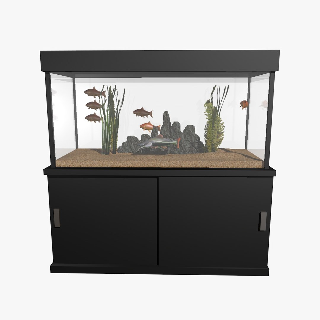 fresh aquarium goldfishes catfish 3d c4d https://p.turbosquid.com/ts-thumb/vW/6WYxza/cqmMnQkO/catfishandgoldfishesaquariumanimation8/jpg/1461796170/1920x1080/fit_q87/b9082053c4c91dea2a7b5d172710274ea8008bdc/catfishandgoldfishesaquariumanimation8.jpg