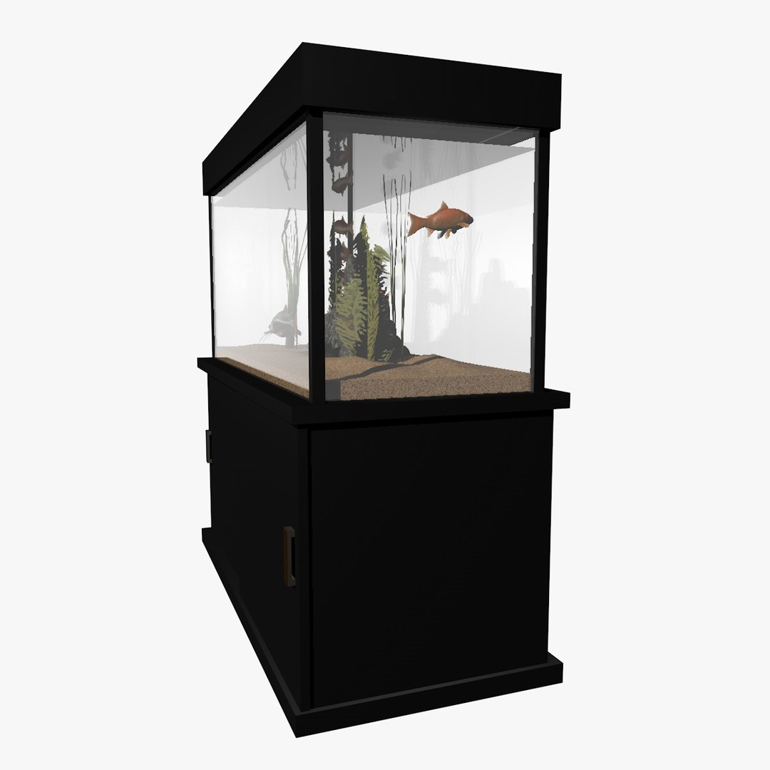 fresh aquarium goldfishes catfish 3d c4d https://p.turbosquid.com/ts-thumb/vW/6WYxza/jbaTs93k/catfishandgoldfishesaquariumanimation3/jpg/1461796169/1920x1080/fit_q87/2fe44899aaf2b4e7f825decb24471167e3f9f720/catfishandgoldfishesaquariumanimation3.jpg