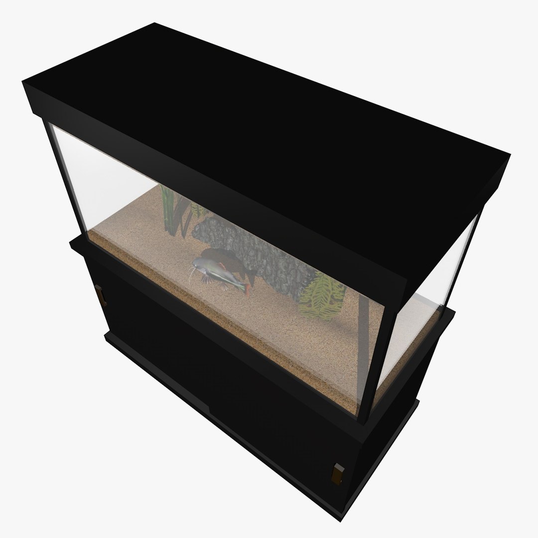 fresh aquarium goldfishes catfish 3d c4d https://p.turbosquid.com/ts-thumb/vW/6WYxza/wUF8Pn0A/catfishandgoldfishesaquariumanimation10/jpg/1461796170/1920x1080/fit_q87/c1d242d1f40a893fcb82a1a1f811273caafdbd14/catfishandgoldfishesaquariumanimation10.jpg